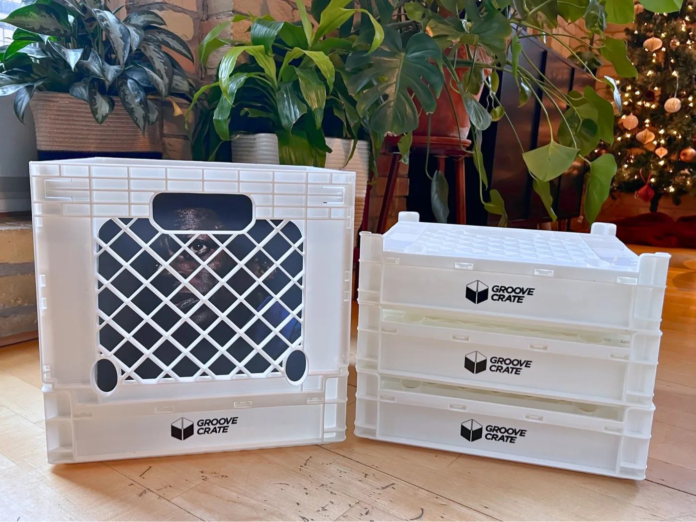 One Groove Crate standing open beside three crates folded flat